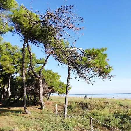Apartman Bella Silvi